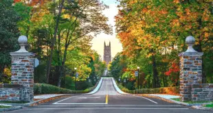 How to get into Duke Medical School: Acceptance Rate and Admissions Requirements