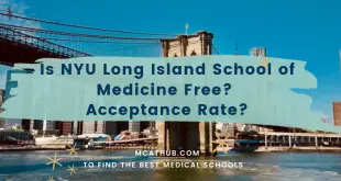 Is NYU Long Island School of Medicine Free? Acceptance Rate | MCAT