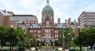 How to Get Into Johns Hopkins Medical School: Requirements Acceptance rate