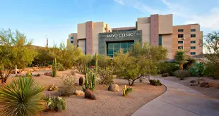 Mayo Clinic Alix School of Medicine: Acceptance Rate & Requirements