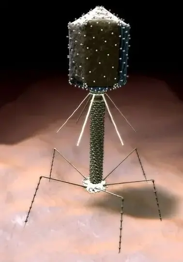 Who demonstrated that DNA is the genetic material of the T2 phage?